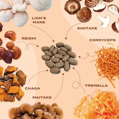 Mushroom Ingredients